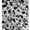 DURAPORE Disc Hydrophobic  0.22μm 47mm 100/Pk