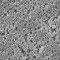 NYLON Net Filter  11μm 90mm 50/Pk