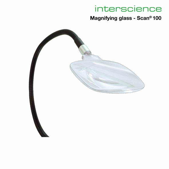 Flexible magnifying lens