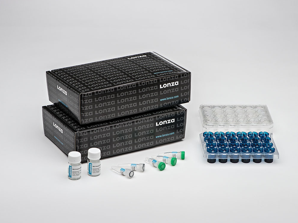 AD2 4D-Nucleofector™ Y Kit