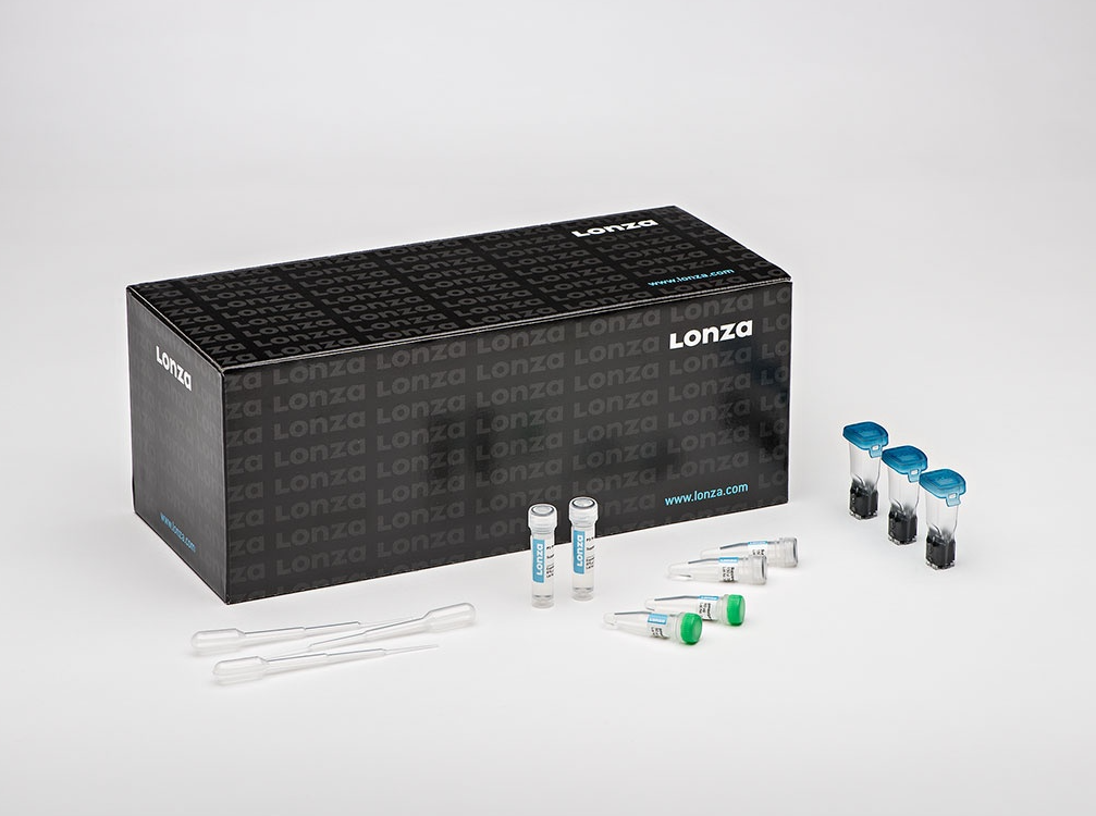 P5 Primary Cell 4D X Kit L (12 RCT)