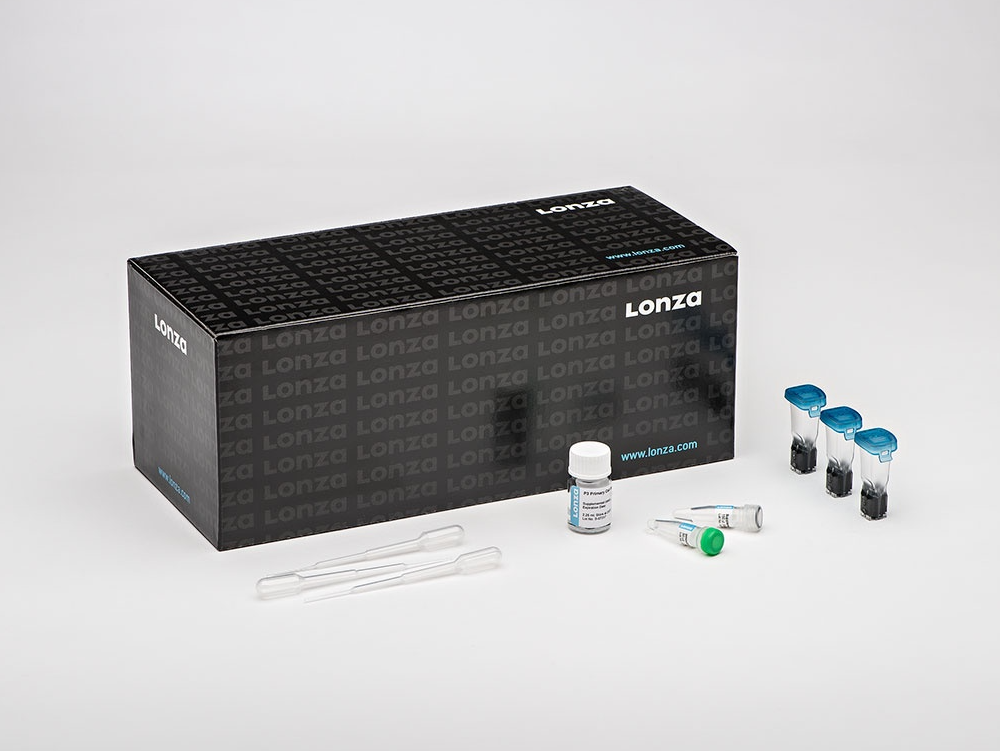 P5 Primary Cell 4D X Kit L (24 RCT)