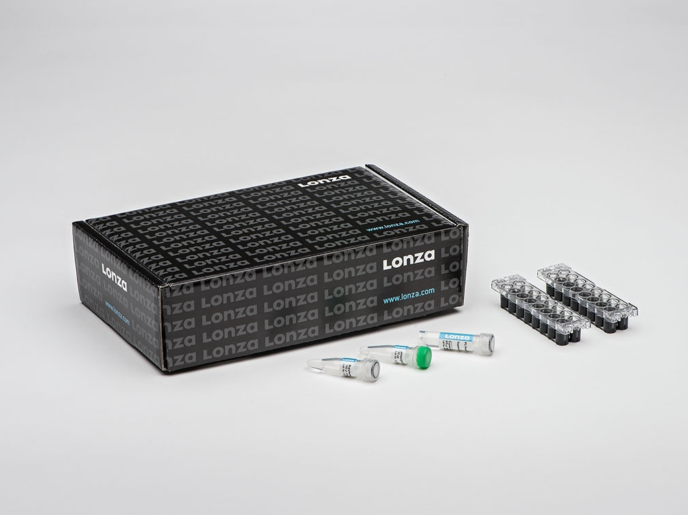 P5 Primary Cell 4D X Kit S (32 RCT)