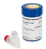 Transcriptor Universal cDNA Master - 100