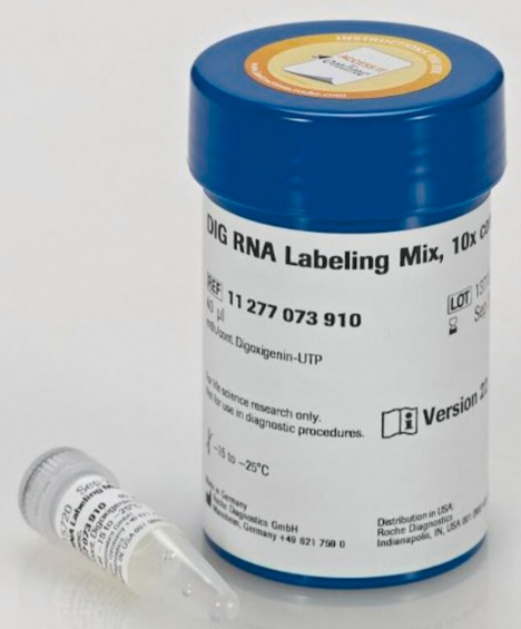 DIG RNA Labeling Mixture, 10x  40 ul