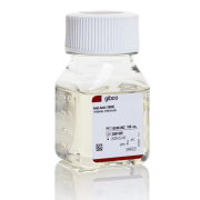Antibiotic-Antimycotic (100X), 20 x 100 mL